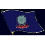 IDAHO PIN STATE FLAG PIN